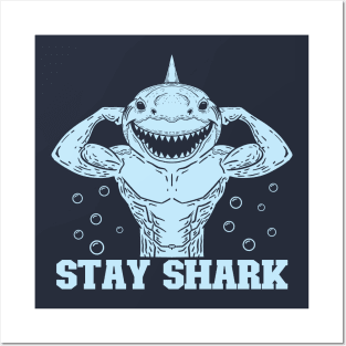 Stay Shark Posters and Art